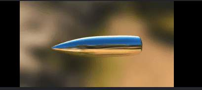 Karak incident: Brother shot sibling and surrendered