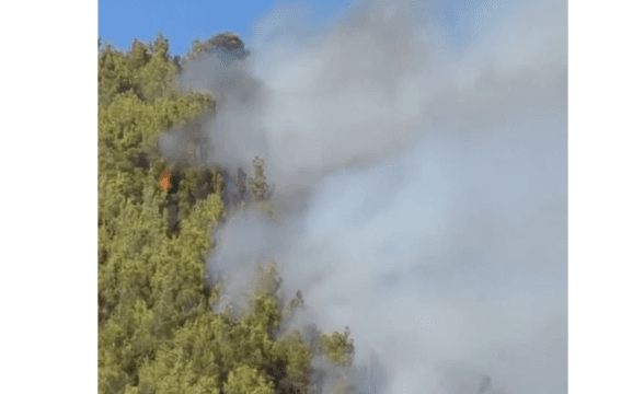 حريق في أحراش جبل اللطرون بجرش