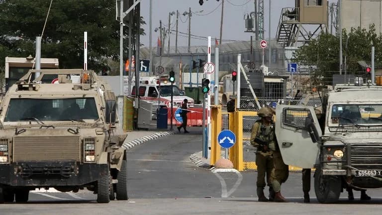 Israeli authorities block two Swedish MEPs' West Bank visit