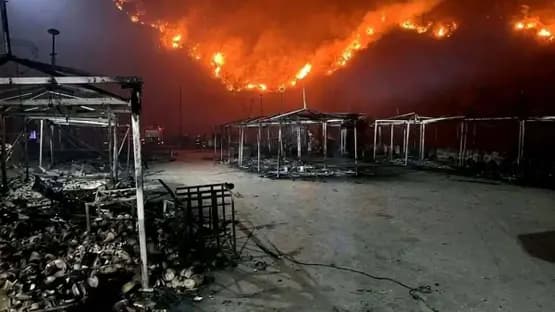 Algeria Faces 123 Wildfires in One Day