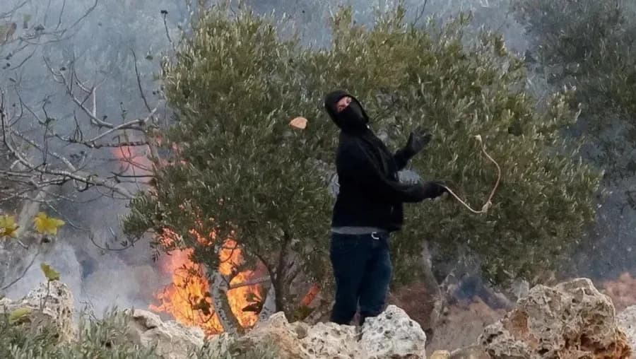 Settlers take Palestinians' olives amid rising attacks