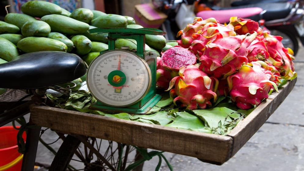 Tropical crop success in Rajab enables growth