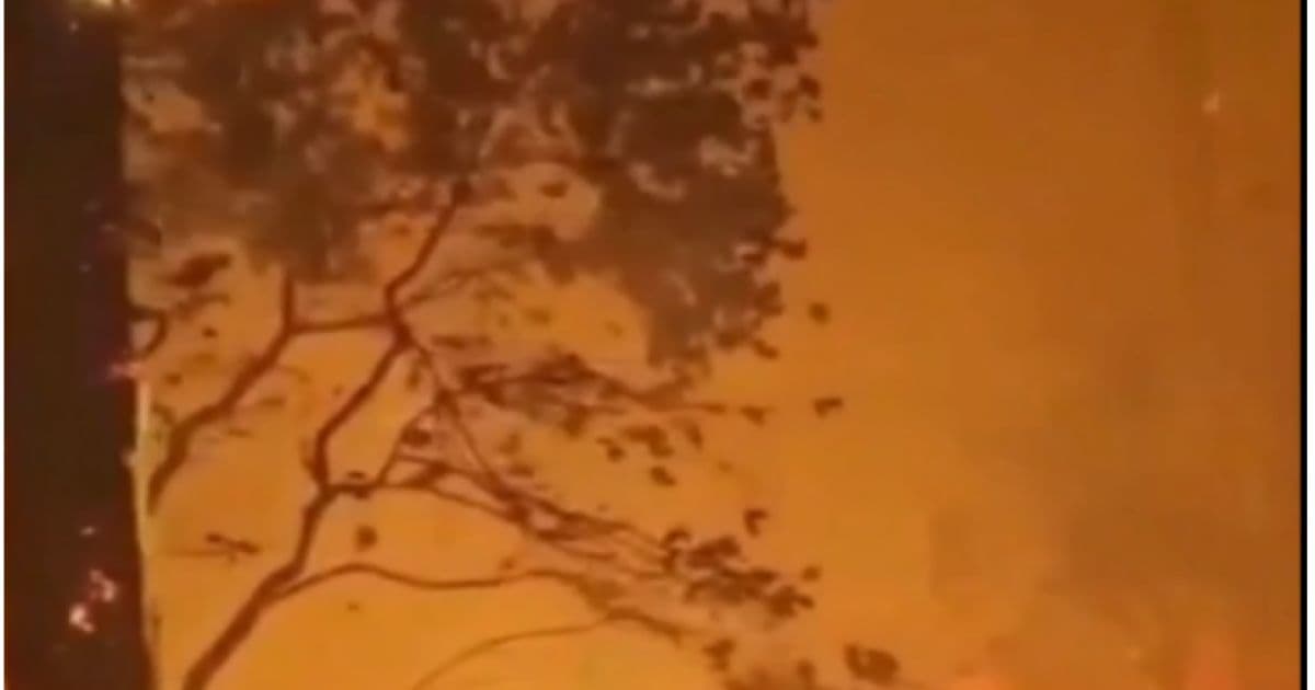 الأردن يدعم إيطاليا وفرنسا وإسبانيا في مواجهة الحرائق