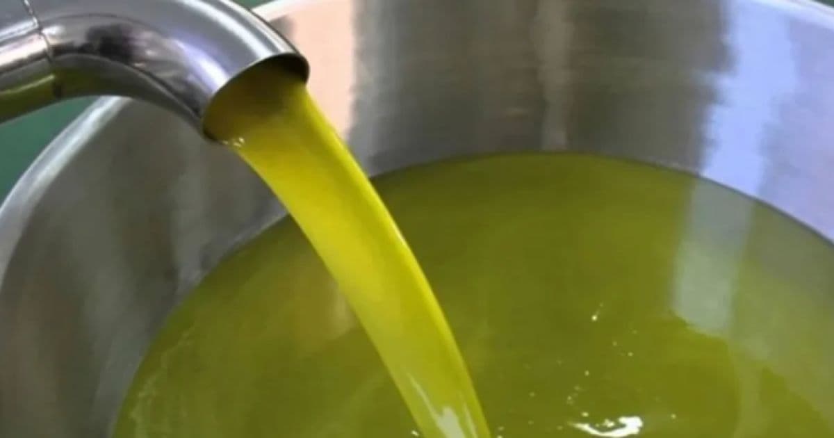 تحذيرات من معلومات خاطئة عن زيت الزيتون عبر السوشيال ميديا