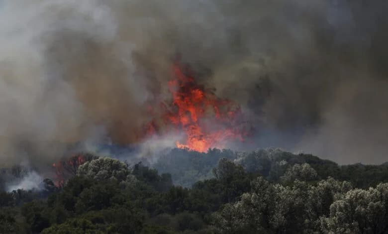 Belgium wildfire burns 3000 hectares