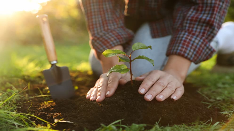Agriculture Minister Warns on Tree Selection