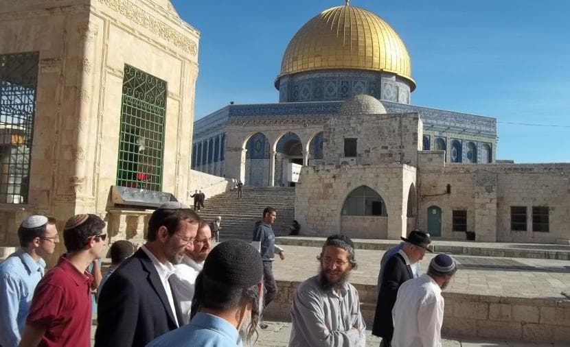 تحليل اقتحامات السياسية للمسجد في 2026