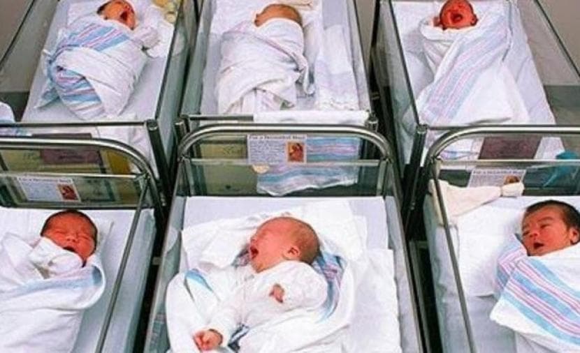مواليد ووفيات خلال الربع الثالث في غزة