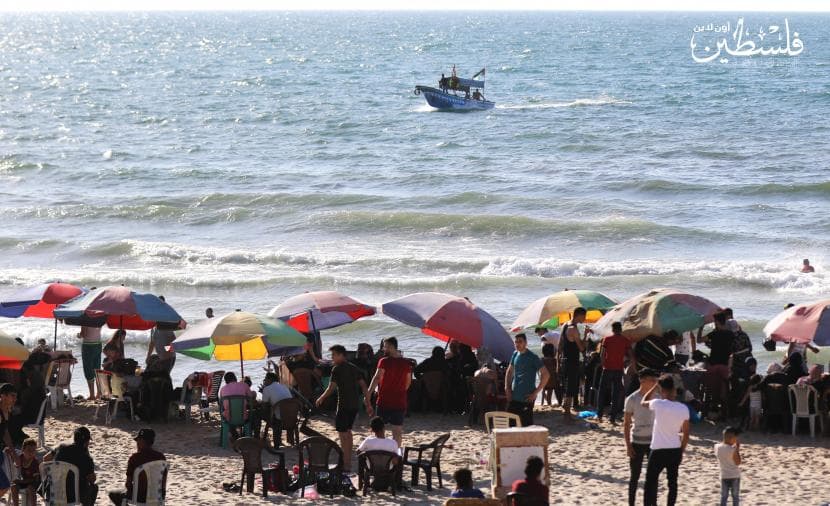 Gaza Sea at Risk from Sewage Spill