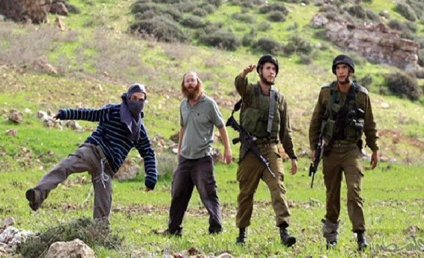 West Bank settler violence injures olive harvesters