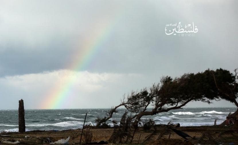 Weather forecast indicates cooler temperatures