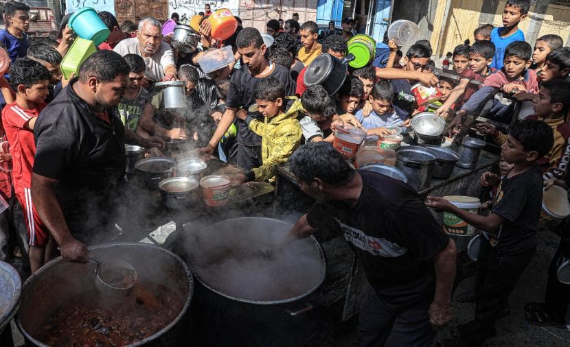 Rights group urges WFP to resume Gaza aid