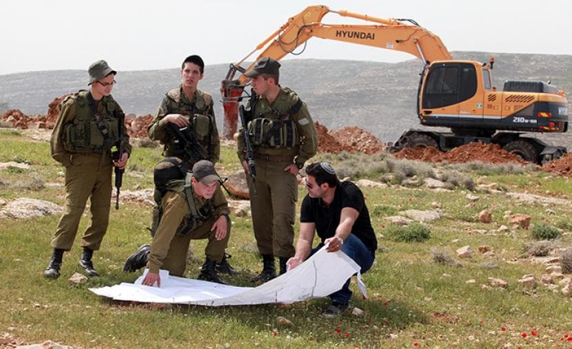 Occupation orders uproot trees on 438 dunams in West Bank