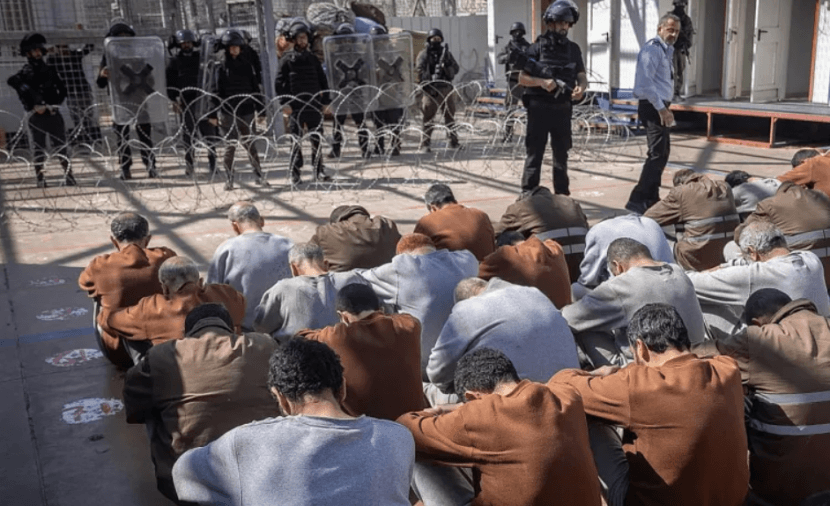 Center reports 5,000 arrests this year