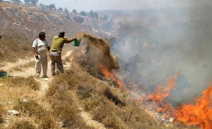 إسرائيل: مستوطنون يخططون للتهجير بالضفة