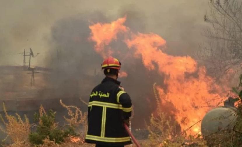 Algeria Wildfires Cause 12 Deaths
