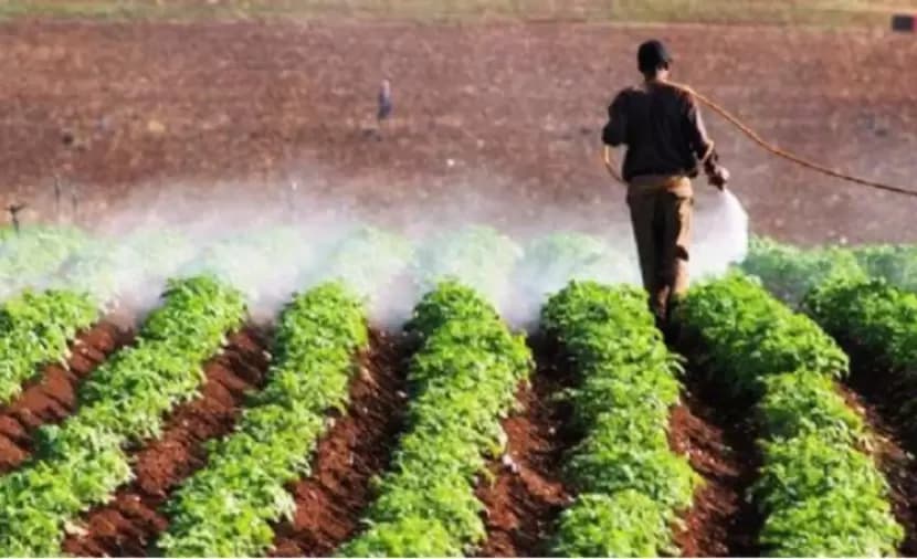 Jordan Valley farmers criticize authorities' fee collection
