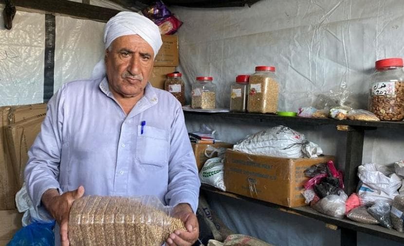 Bank of the Barrack Seed Restores Gaza Agriculture