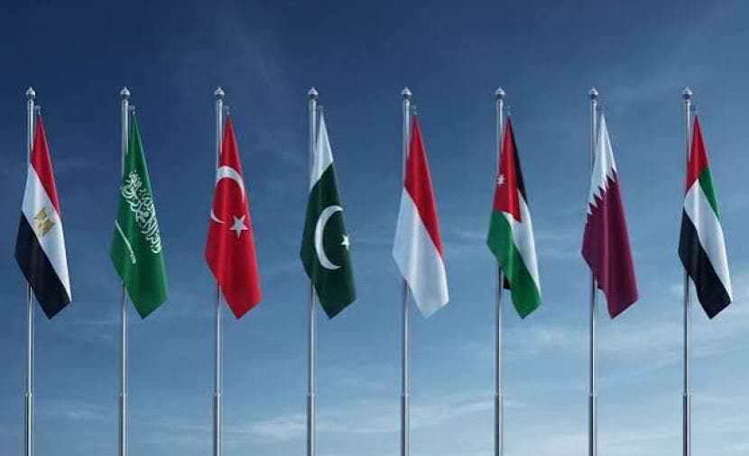 Arab and Islamic nations criticize Israel's Gaza stance