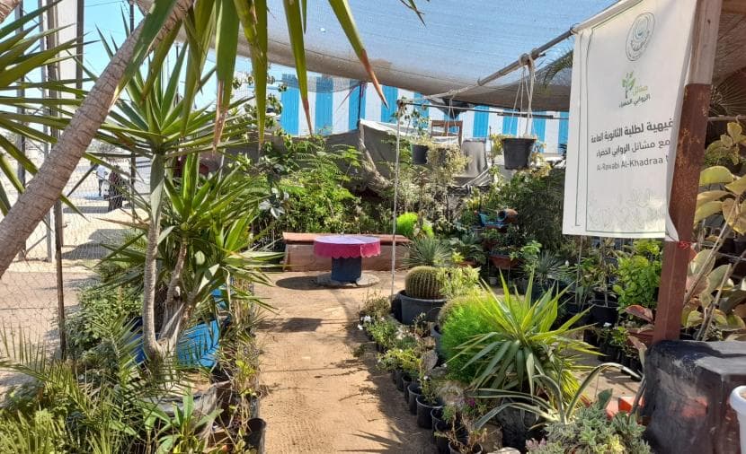 Agriculture Tracks Gaza Nurseries Challenges