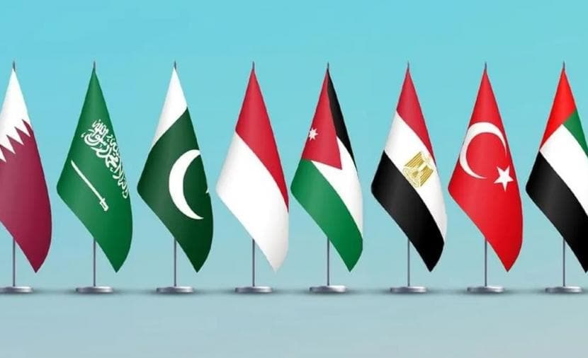 دول تحذر من تهجير الفلسطينيين قسرًا
