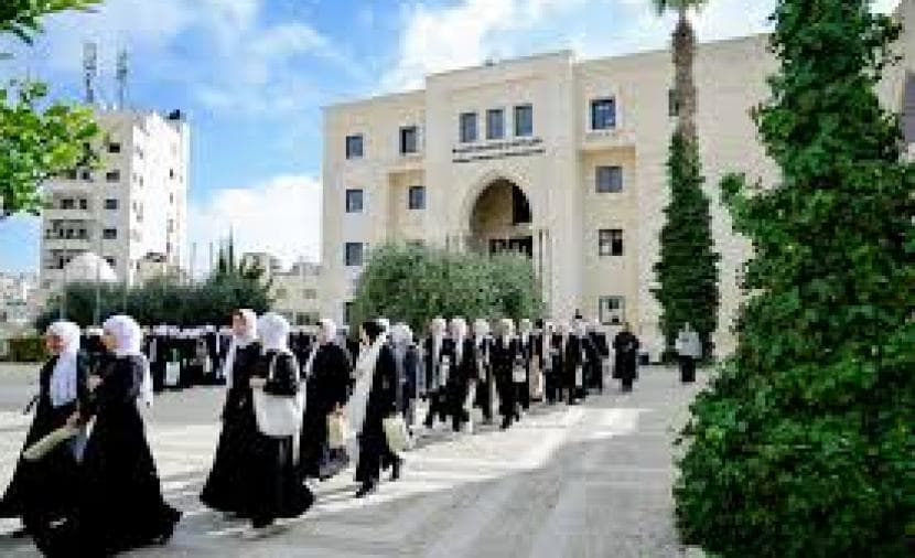 الأحياء الجامعية والدبلوماسية