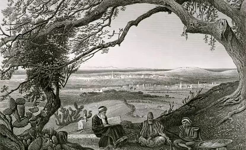 Eloquence in Old Gaza: Bishop Berkoubius