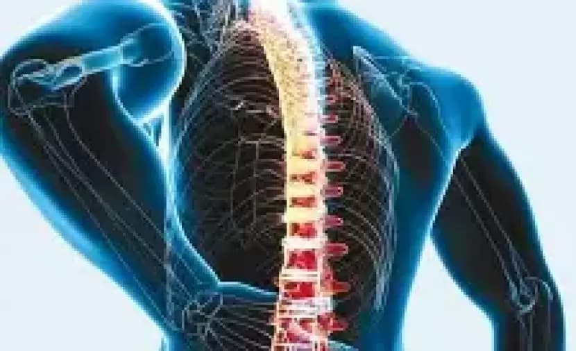 دراسة توضح سبب صوت الطقطقة في العمود الفقري