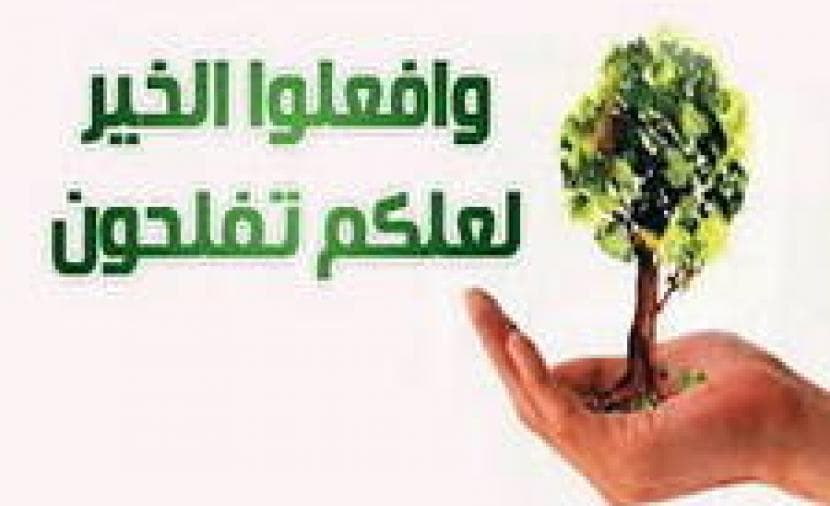 Unity and Coordination Challenges in Islamic Work