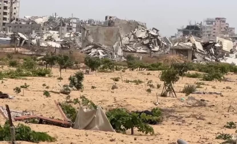 Agha: 87.6% of Gaza's farmland damaged