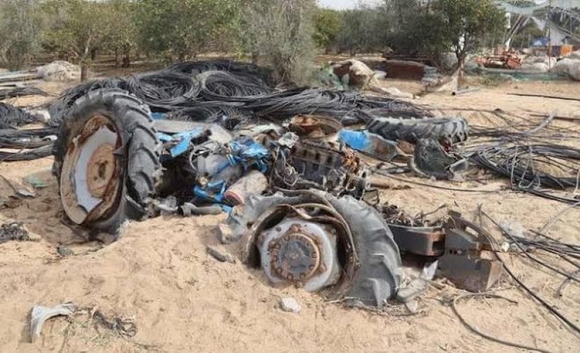 فجوة في برامج تعافي زراعة غزة