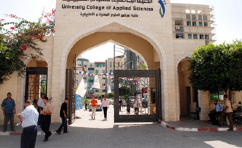 هي بالفعل العنقاء وليست فقط مبدعة