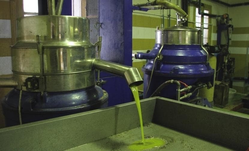 Mufti: Buying stolen olive oil from settlers prohibited