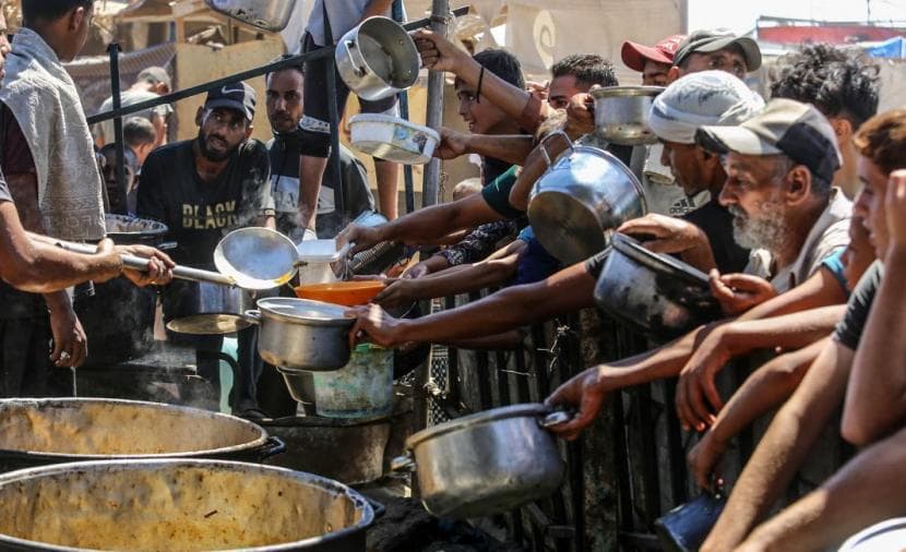 مخاطر المجاعة تهدد نازحي غزة