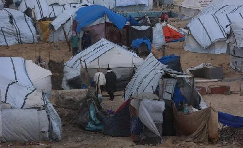 Gaza's Displaced Struggle Amid Hardship