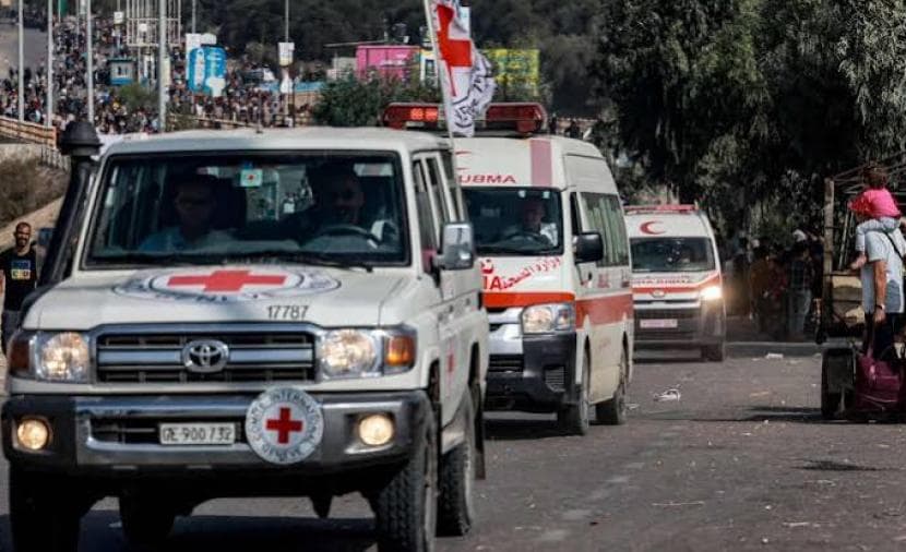 الصليب الأحمر: تحديد هويات مفقودي غزة سيستغرق سنوات