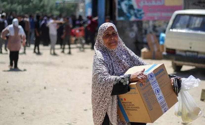 Expert Warns on Gaza Aid Cuts