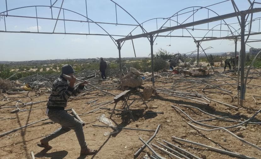 إعادة تأهيل الدفيئات الزراعية في غزة