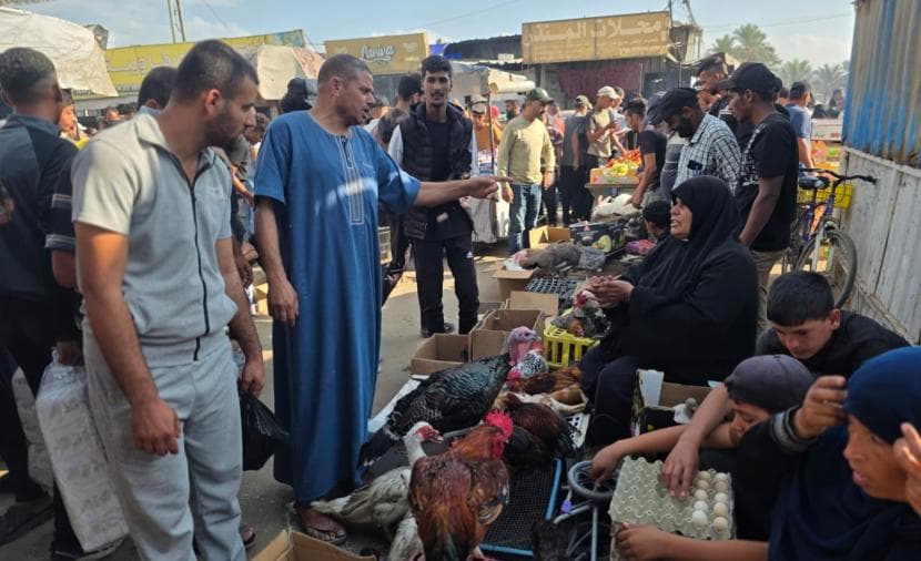 عودة سوق الطيور بعد الإبادة في خان يونس