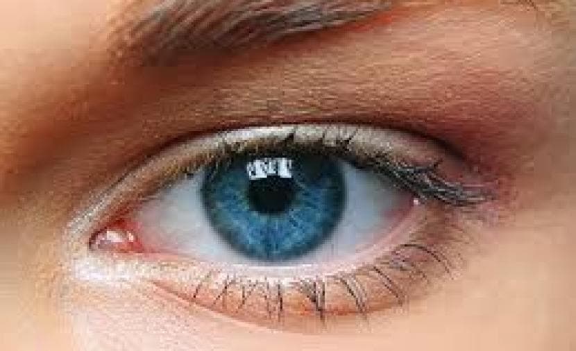 Retina Can Signal Heart Risks