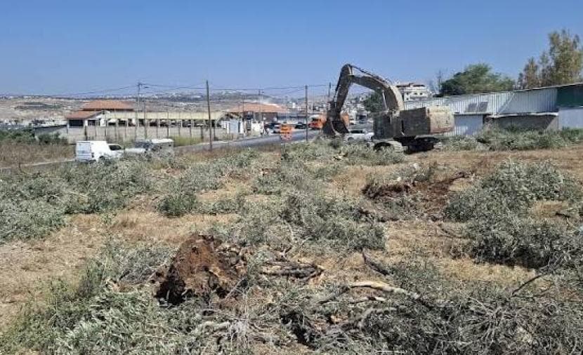 West Bank Suffers $3M Agricultural Losses