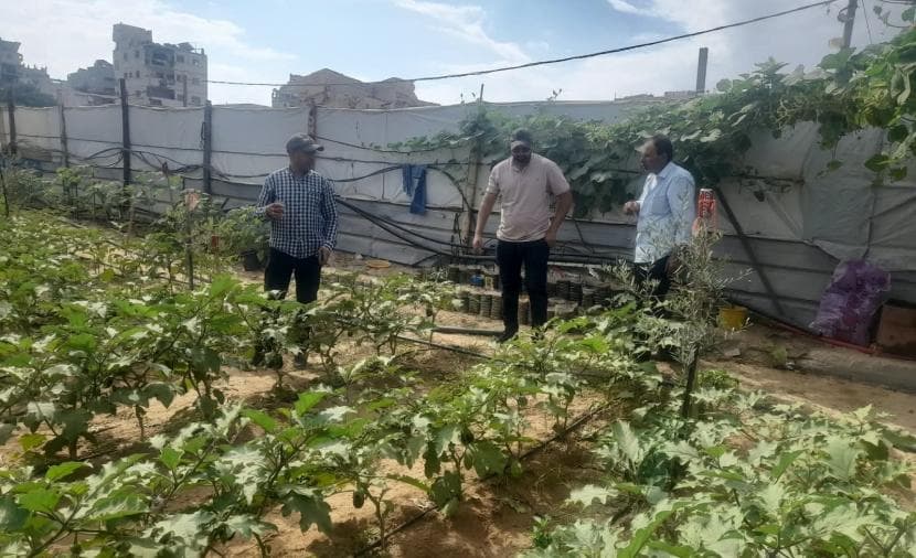 Gazaa Agriculture Tracks Farmers' Needs