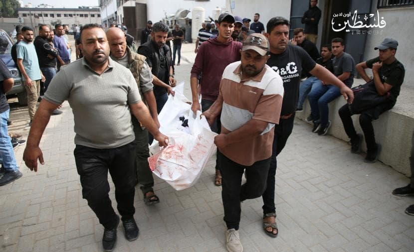 Gaza health updates: 7 dead, 25 injured