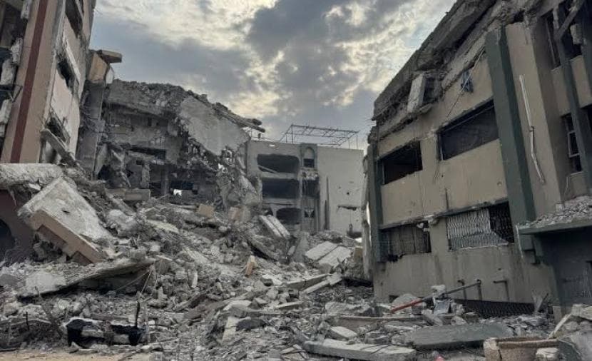علماء فلسطين في أفضل 2% عالميا لعام 2026