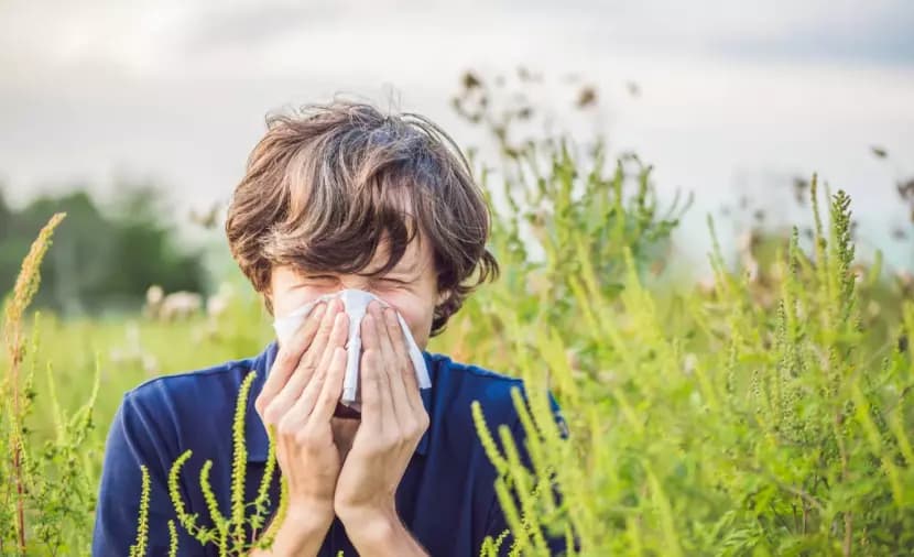 Reasons Behind Seasonal Allergy Flare-ups