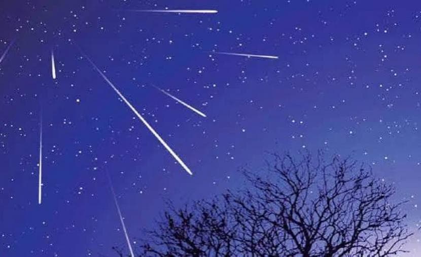 40th Visit Lights Up Sky with Halley Debris