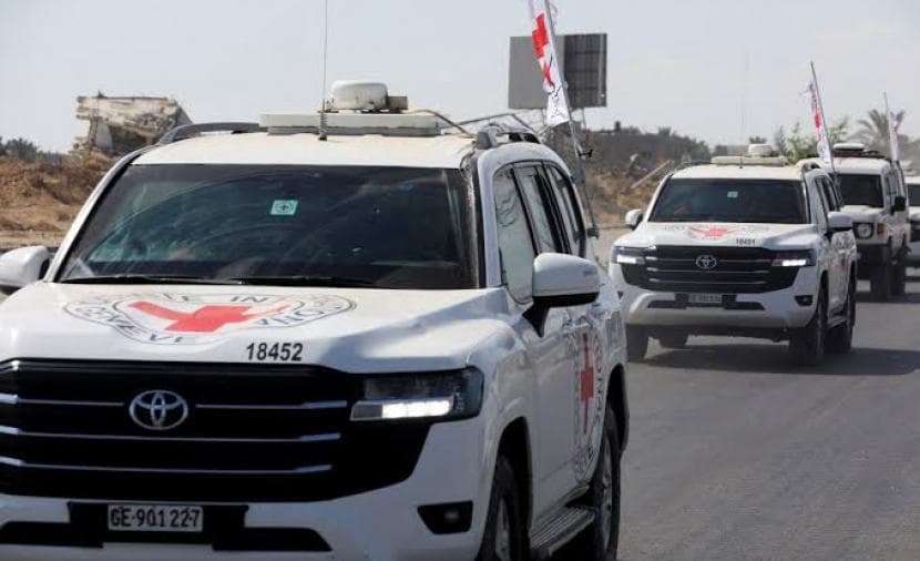 Red Cross: Gaza Martyrs Identification Fading