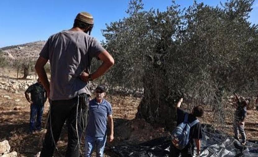 Israeli Violations in West Bank Villages