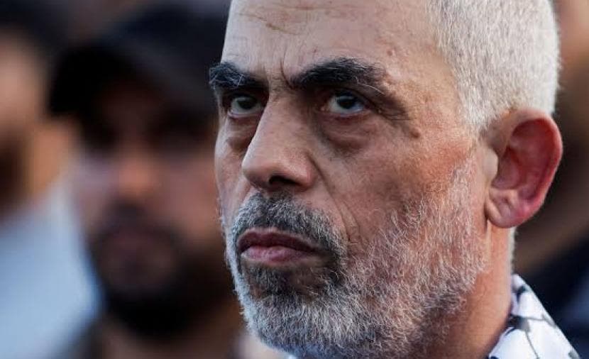 الشوك والقرنفل في النهاية