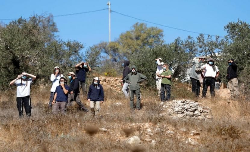 West Bank olive harvesters attacked